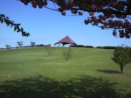 釣りも散歩も！思い思いに「スリーエム仙台港パーク」を楽しもう