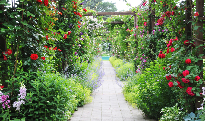 愛犬も一緒に！綺麗な花に包まれる泉ボタニカルガーデン