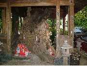 仙台縁結び・願いごとならここに行こう（１）　定義如来西方寺