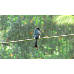 使うのは今！【コインランドリー】