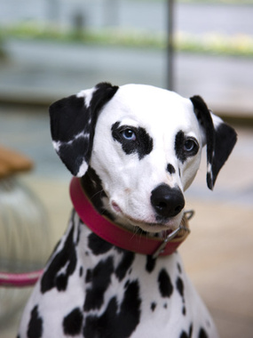 1つの……で、インパクトのある人に