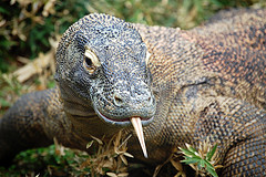 仙台フォーラス屋上のお洒落なビアガーデン【サブリナガーデン 】