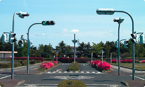 道路に出る練習もできるよ。交通ルールは遊びながら学ぼう！