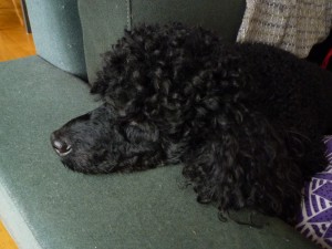 梅雨時の爆発ヘアー／対策アイデアいろいろ　