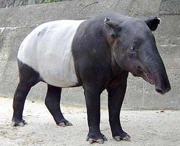 今年こそ涼しくモノトーン