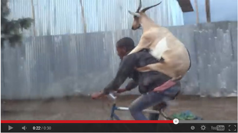自転車取り締まり強化に朗報【イヤホン】