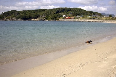 ひとりでも大勢でも楽しめる県内プチリゾートのススメ！