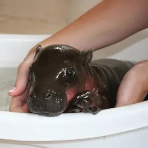 青葉区・八幡北欧ショップ「ビヨルク」カフェオープン！