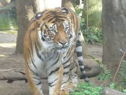 Sawa’s Café(サワズ　カフェ)北四番丁のおもしろ空間