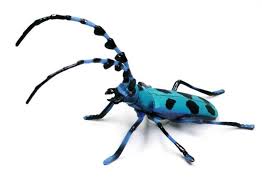 Snap by Me #151えりか