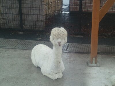 音で涼しくなる方法【五感を活かそう】