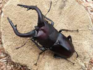 Snap by Me #167きえ