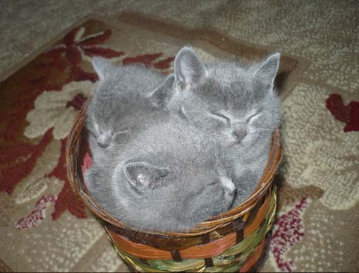 Snap by Me #214るな