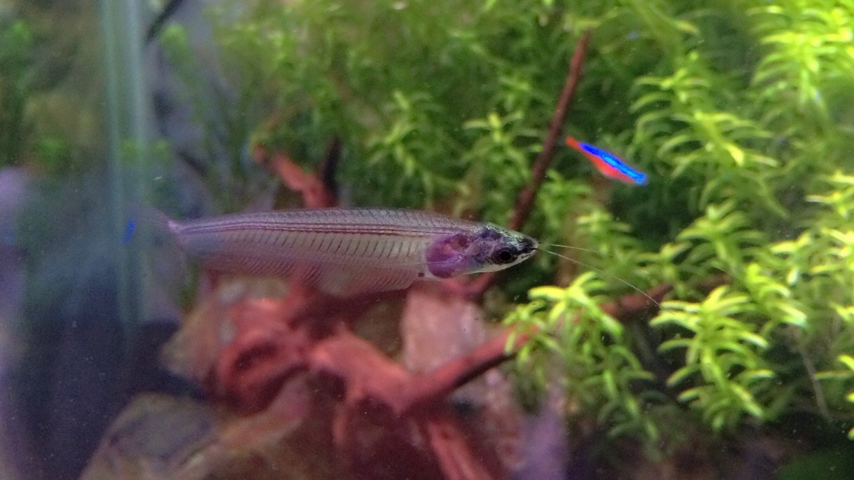 Snap by Me #230りゅうじ