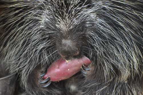 Snap by Me #204ながまち