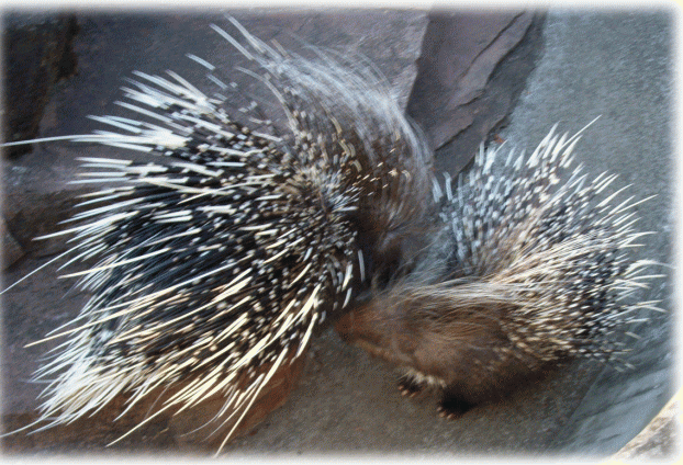 Snap by Me #210なな