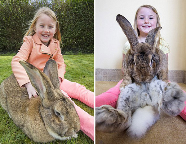 Snap by Me #374菅原浩幸