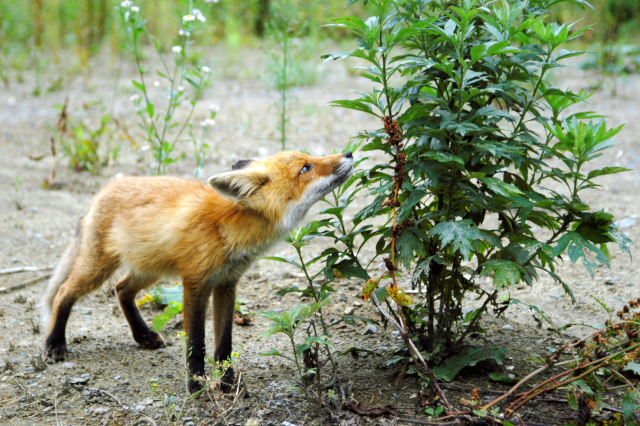 Snap by Me #371ゆいな