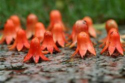 Snap by Me #291みなみ