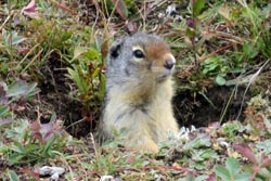 仙台アパート女子必見！暖房費がかなり節約になるDIYのススメ☆寒さ対策準備はじめてますか？