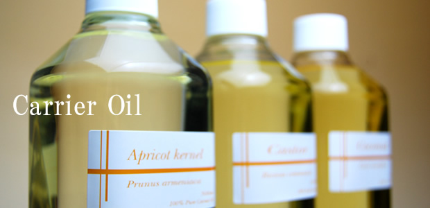 第一回ペットコン