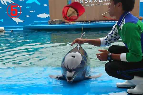 喪中ハガキのお返事はするべき？