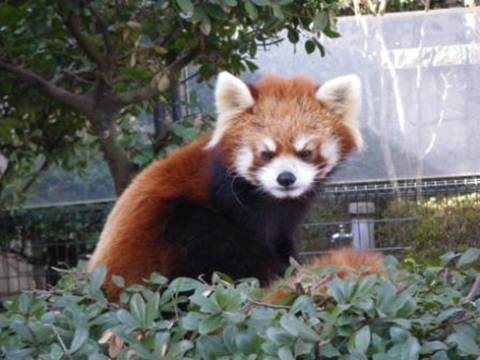 Snap by Me #340よしひで