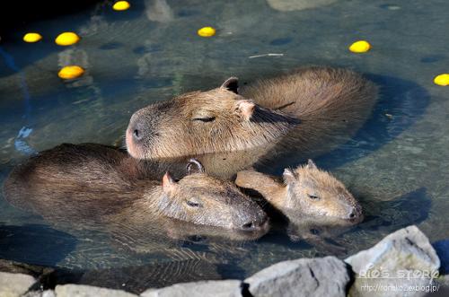 もしかしてブラック企業！？入社してから気がついたらどうする？