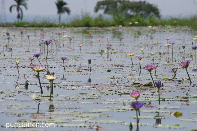 Snap by Me #509アサギ