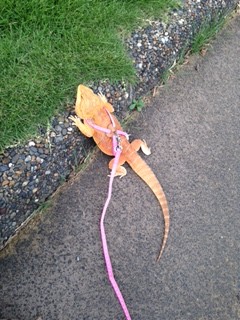 Snap by Me #408かな