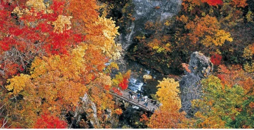 【仙台・紅葉情報】秋のお出かけ★綺麗な紅葉を見て目の保養・新鮮な空気を吸いに！！