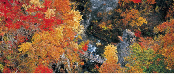 【仙台・紅葉情報】秋のお出かけ★綺麗な紅葉を見て目の保養・新鮮な空気を吸いに！！