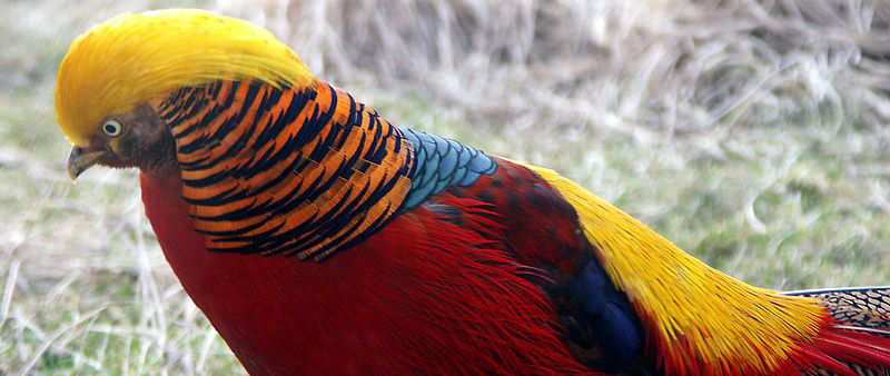 サービス過剰女は嫌われる？合コンでは率先して動くな！