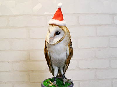 冬物を片付けよう！春の新生活・失敗しない整理収納法