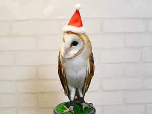 ペットと過ごすクリスマス