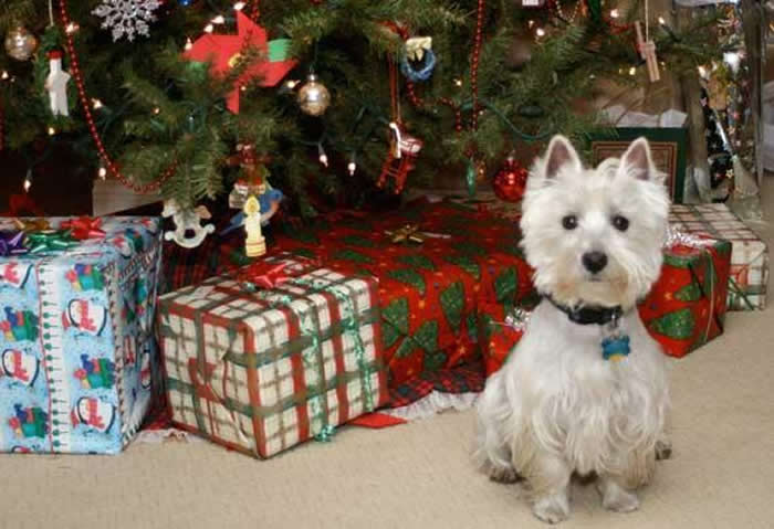 知ってる？「ディグラム診断」で自分にピッタリの相性の男性を探せ