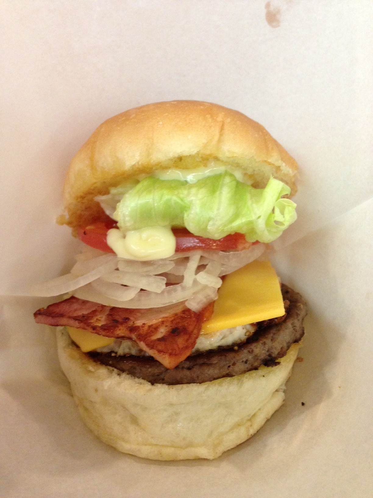 習い事◆資格の大原＜宅地建物取引士講座＞