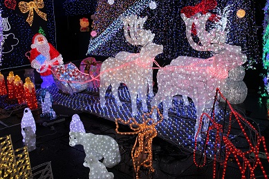 恋愛は【脳】でする！客観的なデータで見た男女の恋愛とは？