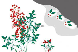 【かわいくて】仙台市内で子供服を“安く”買えるお店はここだ！【安い服】