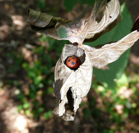 飲み会・合コンの服装は男ウケを狙う？それともファッション性を重視する？