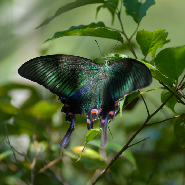 育児は一生懸命やらない…子育てに疲れたときの心身回復法