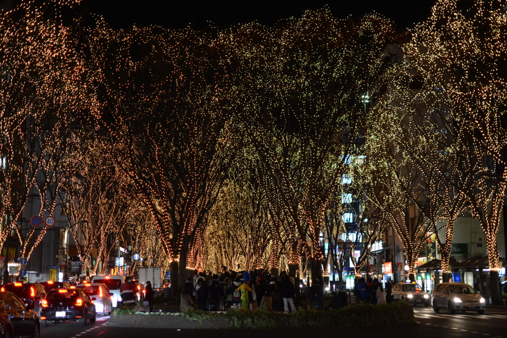 仙台！！こぶしファクトリーの「桜前線北上プロジェクト」密着取材！！