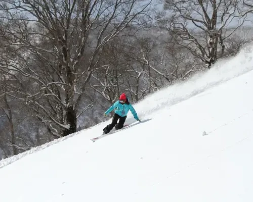 【みやぎ蔵王】スキー・スノボー★えぼし・白石スキー場情報～★