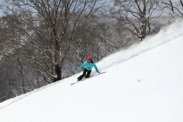 【みやぎ蔵王】スキー・スノボー★えぼし・白石スキー場情報～★