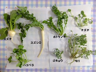 ３３歳で結婚する女性が多い！西洋占星術でみた女の転換期（７）最終回