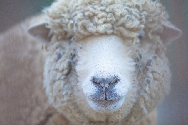 ３０代独身女・自分が一番知っている？「私が結婚できない理由は〇〇だ」（前編）