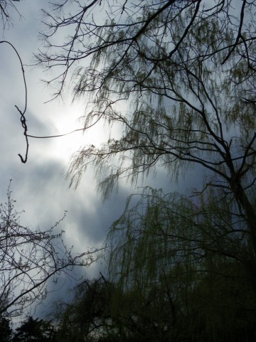 恋人選びで注意したい５つのこと～男のどこを見ればいい？～（３）