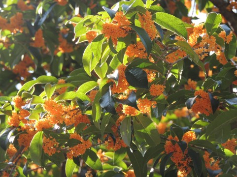 恋人選びで注意したい５つのこと～男のどこを見ればいい？～（４）