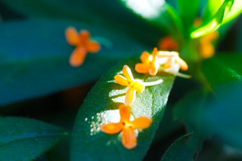 恋人選びで注意したい５つのこと～男のどこを見ればいい？～（５）最終回