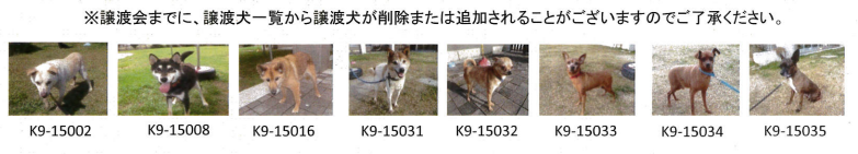 長女は損？恋愛・結婚できない不器用女性は育った環境が原因（２）